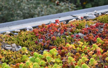 the cost of Moneydig green roof installation