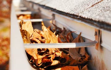 Moneydig gutter cleaning companies