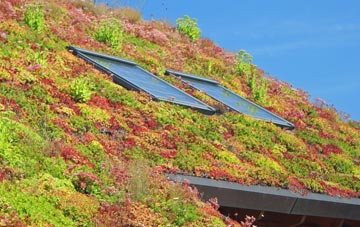 Moneydig living roof systems