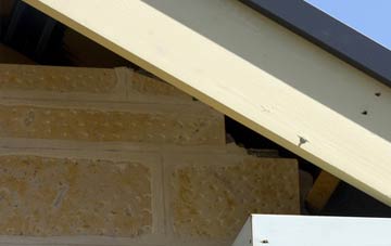soffit repair Moneydig